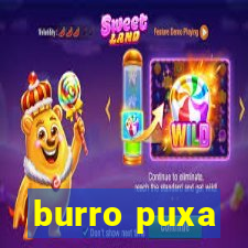 burro puxa